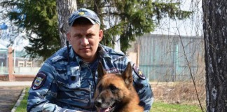 В Алтайском крае полицейский пес помог задержать грабителя