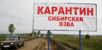 На Ямале от сибирской язвы умер ребенок