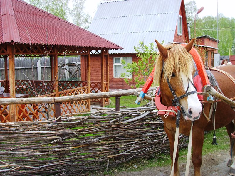 сельский туризм