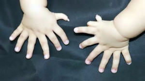 palcy3