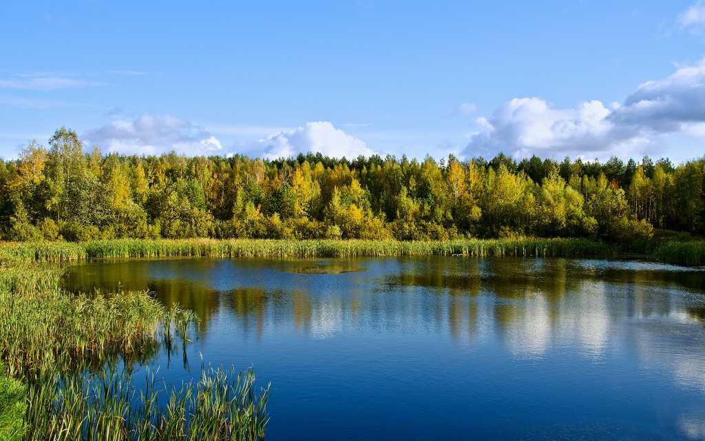 водоем