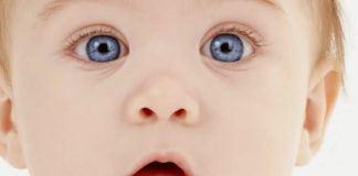 22,5 миллиона рублей выплачено родителям в связи с появлением в семьях первых детей на Алтае